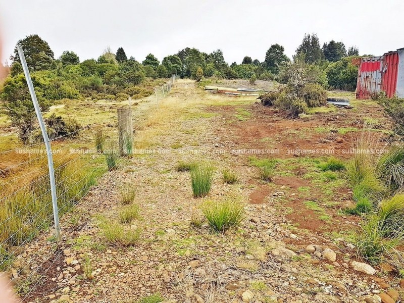 8/800 Waratah Road, Waratah TAS 7321