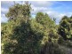 8/800 Waratah Road, Waratah TAS 7321