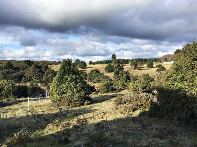 8/800 Waratah Road, Waratah TAS 7321