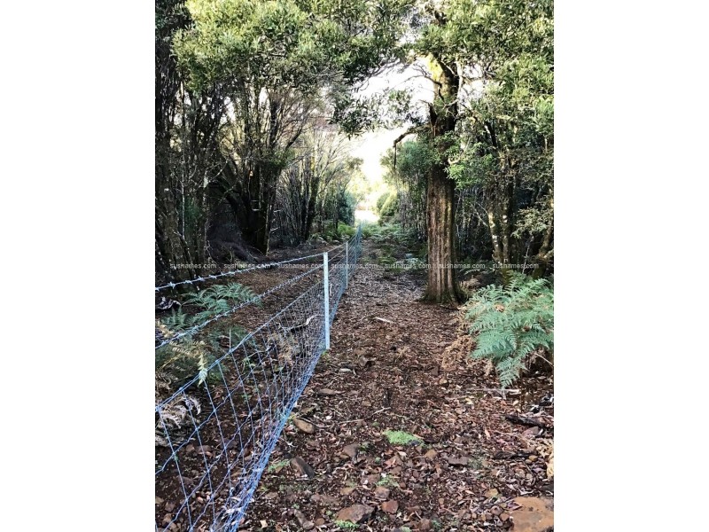 8/800 Waratah Road, Waratah TAS 7321