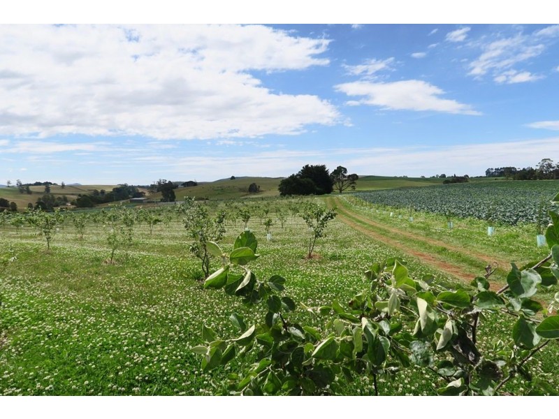 1200 Melrose Road, Lower Barrington TAS 7306