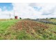 1200 Melrose Road, Lower Barrington TAS 7306