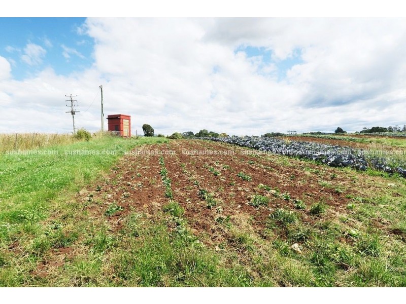 1200 Melrose Road, Lower Barrington TAS 7306
