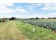 1200 Melrose Road, Lower Barrington TAS 7306
