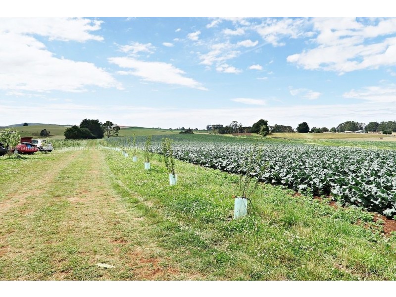 1200 Melrose Road, Lower Barrington TAS 7306