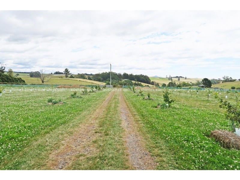 1200 Melrose Road, Lower Barrington TAS 7306