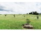 1200 Melrose Road, Lower Barrington TAS 7306