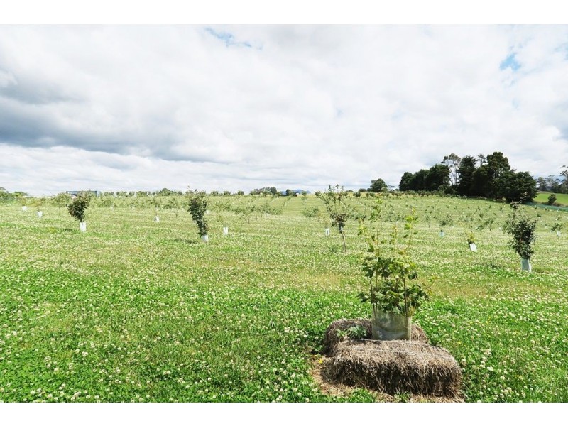 1200 Melrose Road, Lower Barrington TAS 7306