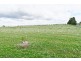 1200 Melrose Road, Lower Barrington TAS 7306
