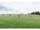 1200 Melrose Road, Lower Barrington TAS 7306
