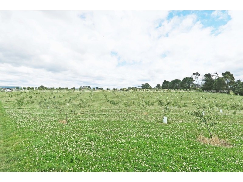 1200 Melrose Road, Lower Barrington TAS 7306