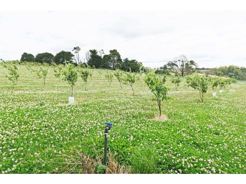1200 Melrose Road, Lower Barrington TAS 7306