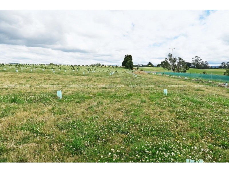 1200 Melrose Road, Lower Barrington TAS 7306