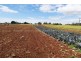 1200 Melrose Road, Lower Barrington TAS 7306