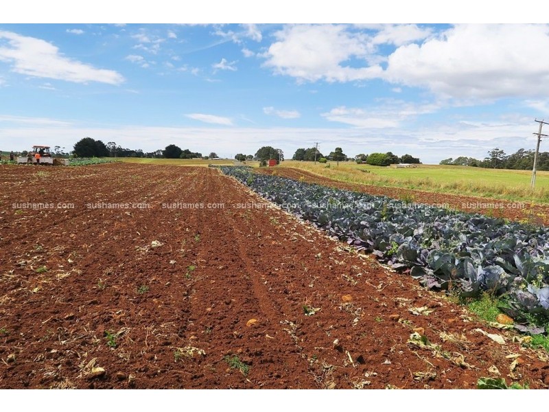1200 Melrose Road, Lower Barrington TAS 7306