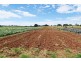 1200 Melrose Road, Lower Barrington TAS 7306