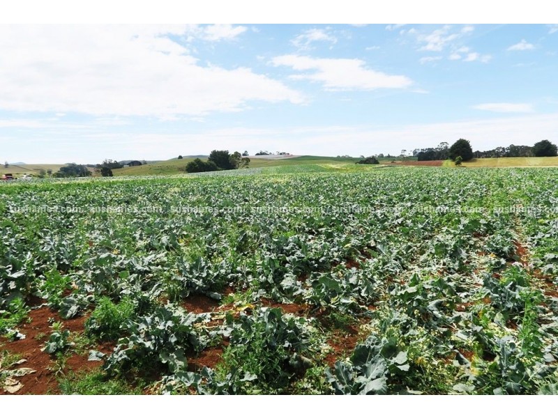 1200 Melrose Road, Lower Barrington TAS 7306