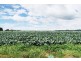 1200 Melrose Road, Lower Barrington TAS 7306