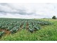 1200 Melrose Road, Lower Barrington TAS 7306