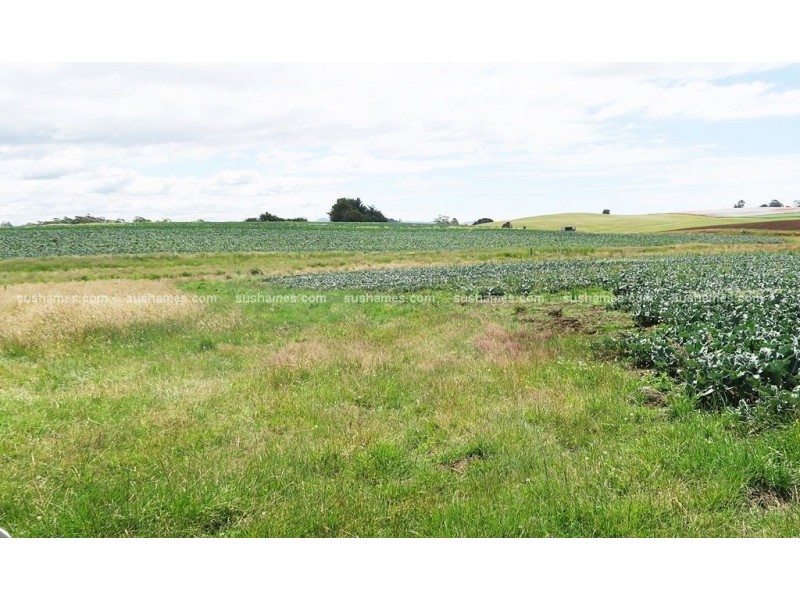 1200 Melrose Road, Lower Barrington TAS 7306