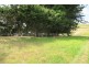 1200 Melrose Road, Lower Barrington TAS 7306