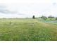 1200 Melrose Road, Lower Barrington TAS 7306