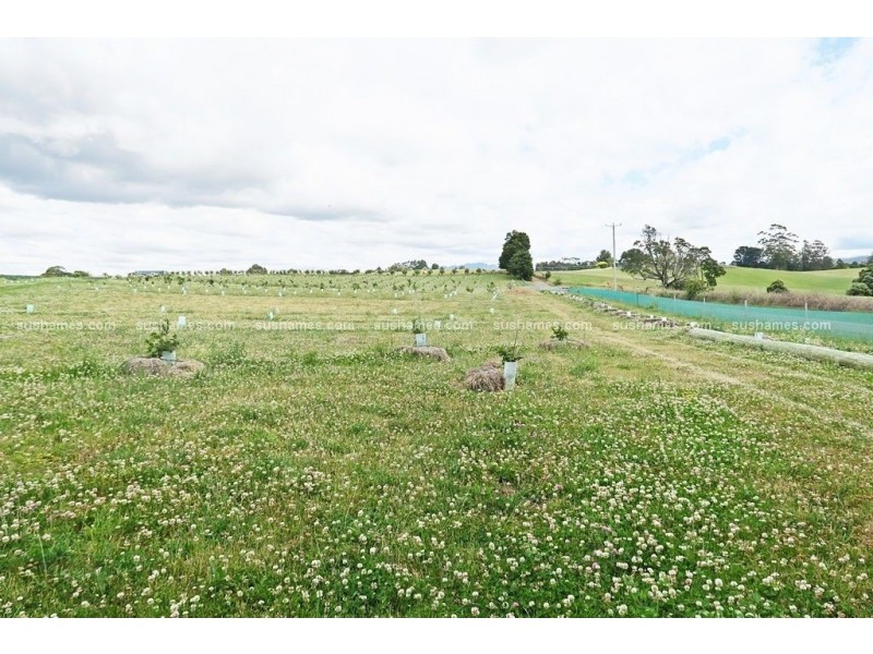 1200 Melrose Road, Lower Barrington TAS 7306