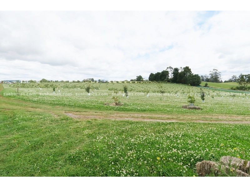 1200 Melrose Road, Lower Barrington TAS 7306