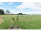 1200 Melrose Road, Lower Barrington TAS 7306