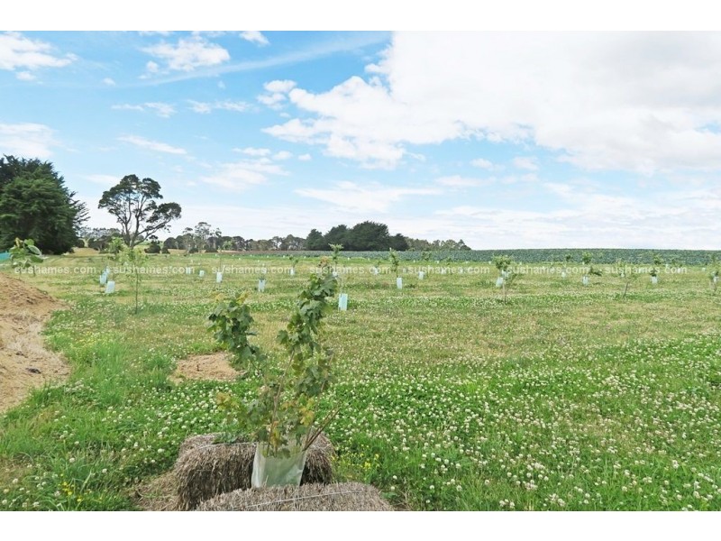 1200 Melrose Road, Lower Barrington TAS 7306