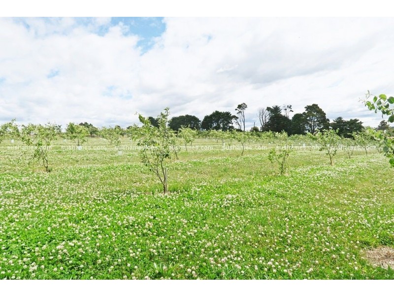 1200 Melrose Road, Lower Barrington TAS 7306
