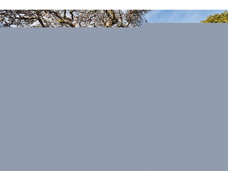 69 Stewart Street, Devonport TAS 7310