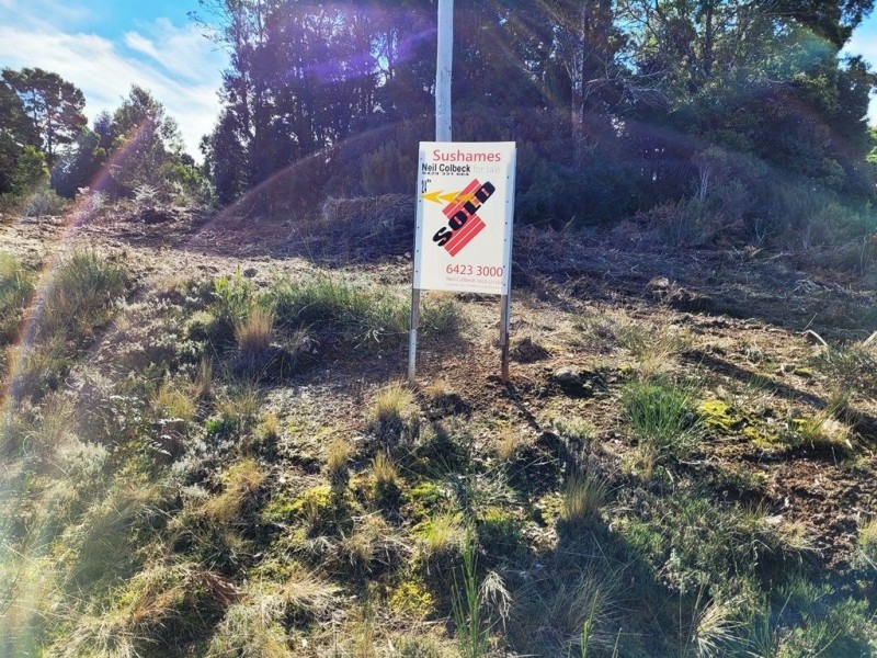 556 Waratah Road, Waratah TAS 7321