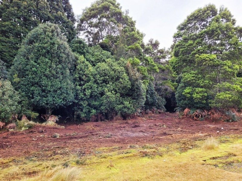 556 Waratah Road, Waratah TAS 7321