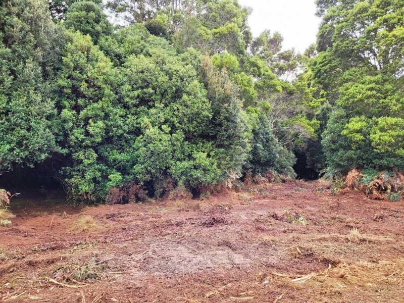 556 Waratah Road, Waratah TAS 7321