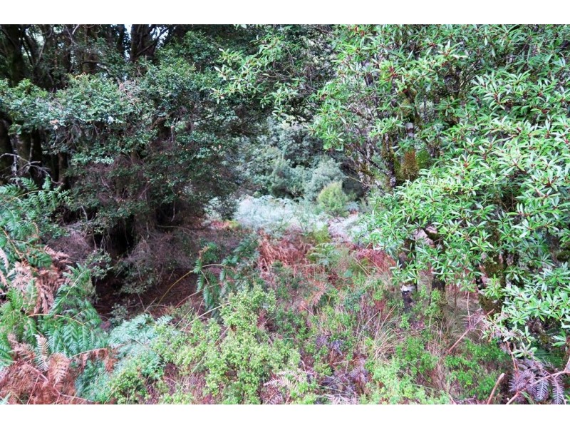 556 Waratah Road, Waratah TAS 7321