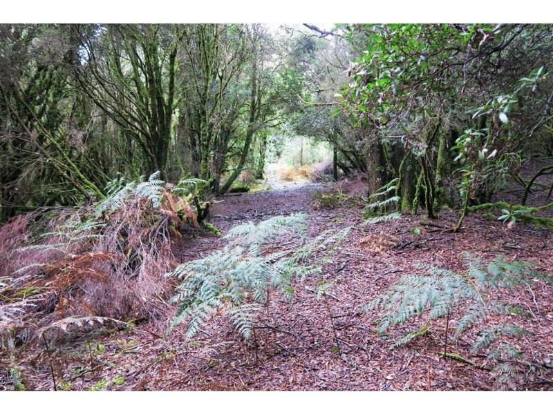 556 Waratah Road, Waratah TAS 7321