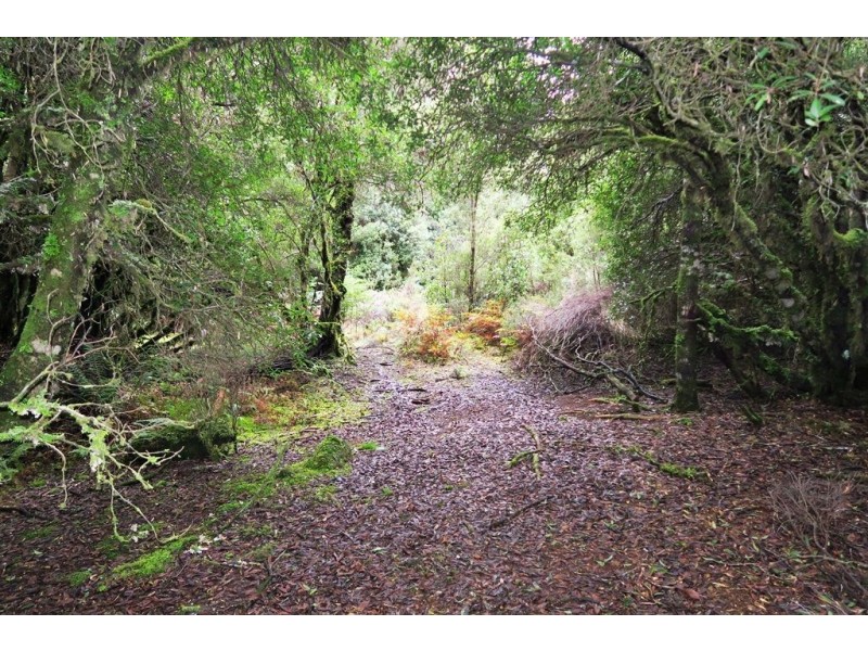 556 Waratah Road, Waratah TAS 7321