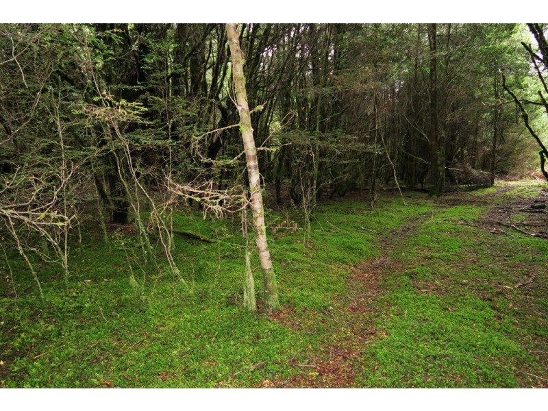 556 Waratah Road, Waratah TAS 7321