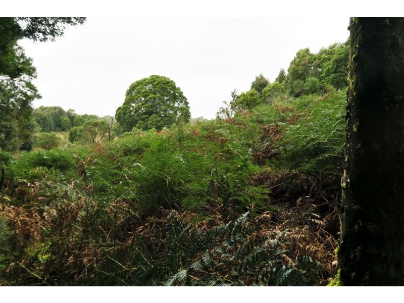 556 Waratah Road, Waratah TAS 7321