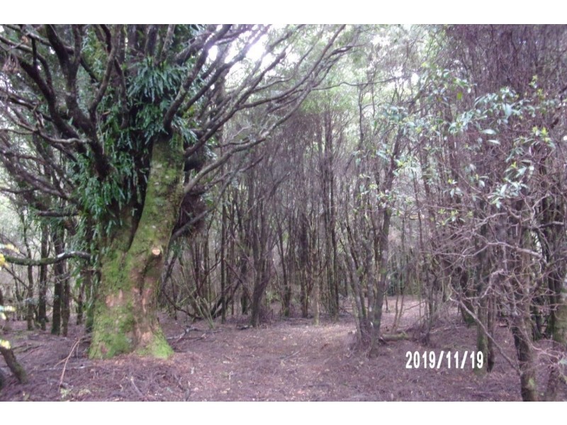 556 Waratah Road, Waratah TAS 7321