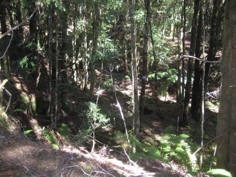 556 Waratah Road, Waratah TAS 7321