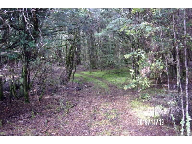 556 Waratah Road, Waratah TAS 7321