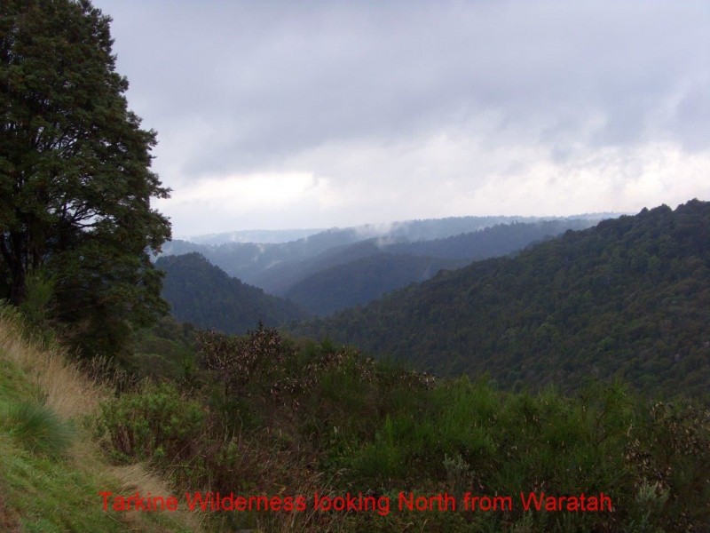 556 Waratah Road, Waratah TAS 7321