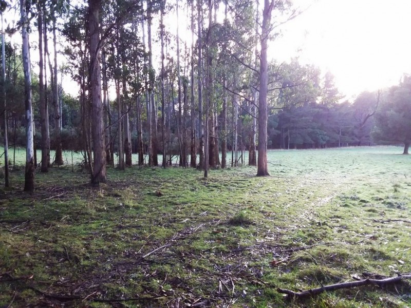 50 Smiths Road, Roland TAS 7306