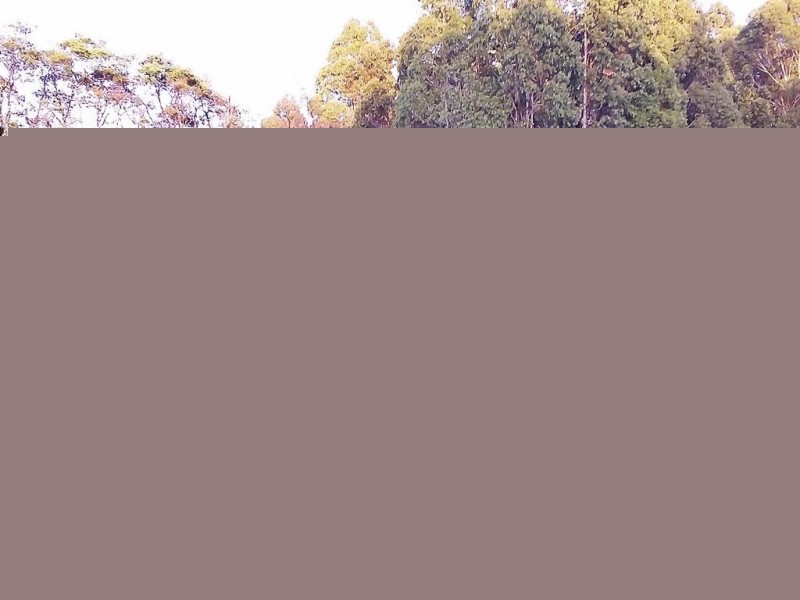 50 Smiths Road, Roland TAS 7306