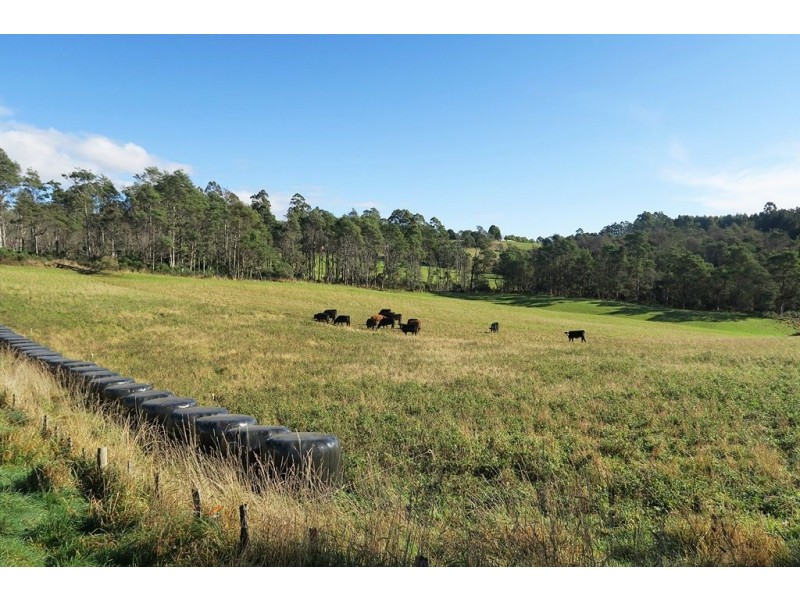 50 Smiths Road, Roland TAS 7306