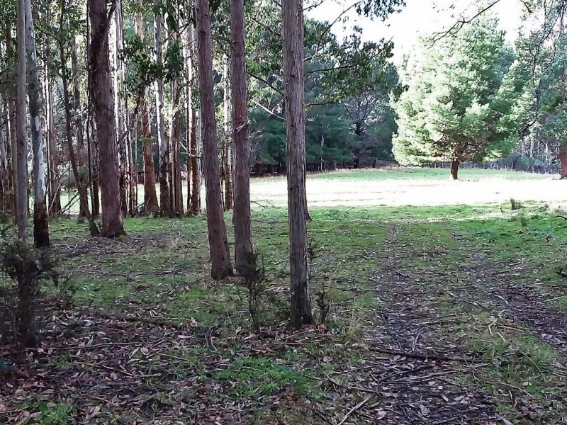 50 Smiths Road, Roland TAS 7306