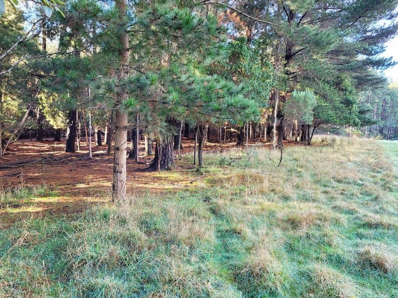 50 Smiths Road, Roland TAS 7306