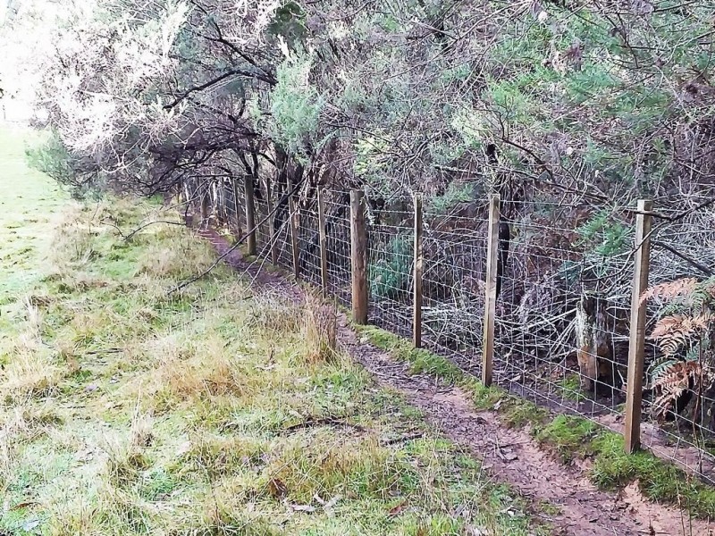 50 Smiths Road, Roland TAS 7306